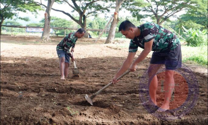 Dukung Program MBG dan Hanpangan, Anggota Kodim 0801/Pacitan Buat Bedeng Untuk Ditanami Sayur