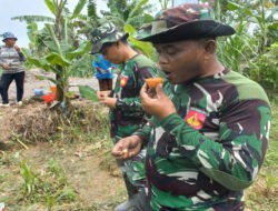 Satgas Dapat Dukungan Logistik Hasil Bumi Warga