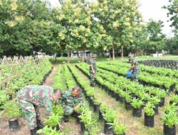 Sayuran Kodim Ponorogo Sukseskan Ketahanan Pangan Wilayah