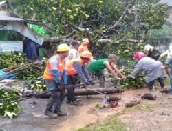 TNI-Polri dan TRC BPBD Trenggalek: Sigap Hadapi Bencana, Kompak Tanpa Batas!