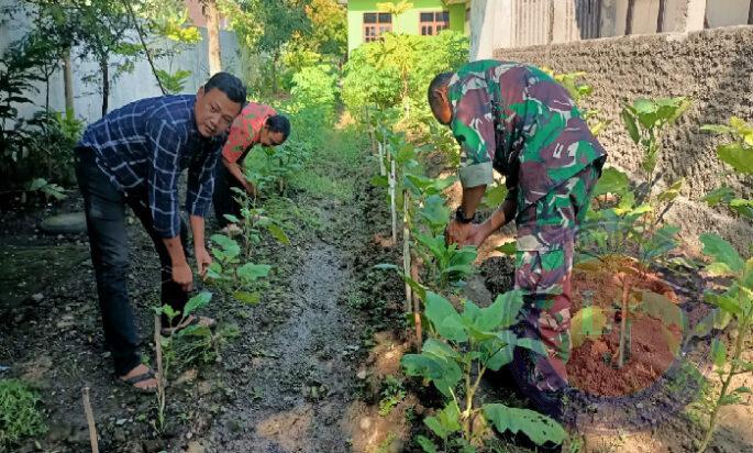 Sinergitas Babinsa Pos Koramil Gerih Bersama Staf Kecamatan Gerih Bersihkan Rumput di Kebun Sayur