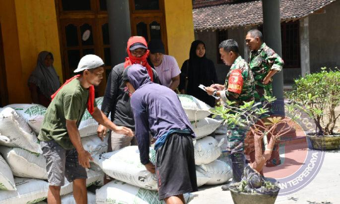 Sukseskan Han Pangan Nasional, Dandim Ponorogo Dampingi Bulog Cek Perani Panen Padi