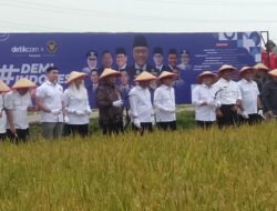Panen Raya di Desa Pangkur, Ngawi: Langkah Strategis Menuju Swasembada Pangan Nasional