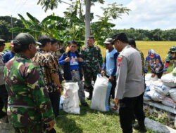 Sergab Petani Wujudkan Ketahanan Pangan, Dandim Ponorogo Turun Tinjau Panen Padi