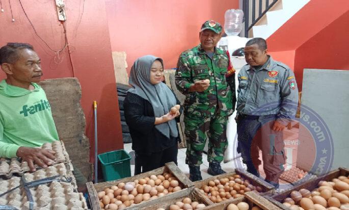 Antisipasi Lonjakan Harga Bahan Pokok, Babinsa Tipes Sidak Gudang Telur Ayam