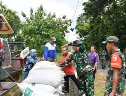 Komitmen Sukseskan Program Sergap, Dandim Ponorogo Terus Blusukan ke Sawah
