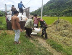 Kodim 0801/Pacitan Bekerjasama dengan Bulog dalam Rangka Sukseskan Program Penyerapan Gabah