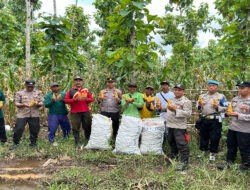 Polisi dan Kelompok Tani Banyuwangi Panen Jagung Wujudkan Ketahanan Pangan