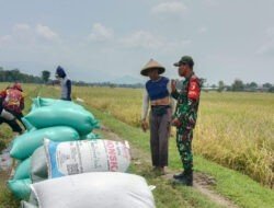 Sosialisasi Sergab, Upaya Babinsa Kodim Ponorogo Sejahterakan Petani