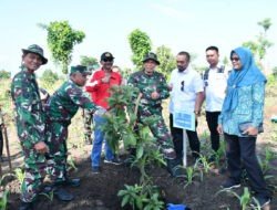 Dandim Ponorogo Bersama Pemkab Ponorogo Nandur Panguriban