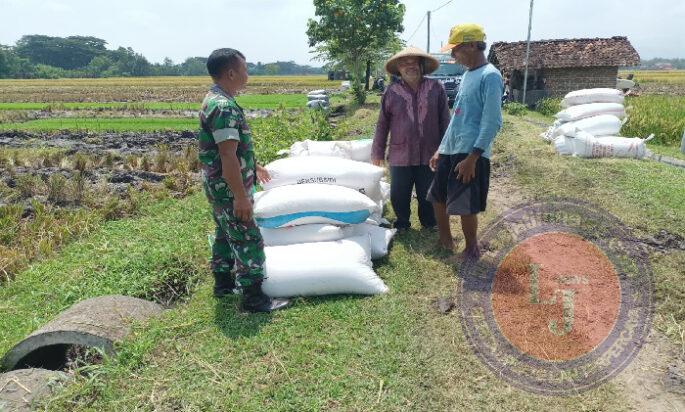 Sergab Petani, Babinsa Kodim Ponorogo Gencarkan Komsos di Wilayah Desa Binaan