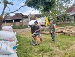 Bulog Beli Gabah Petani, Babinsa Ponorogo Lakukan Pendampingan