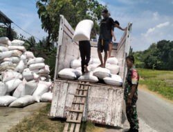 Babinsa Koramil Karanganyar Dampingi Bulog Serap Gabah Petani