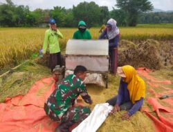 Maksimalkan Sergab, Anggota TNI Kodim Ponorogo terus Dampingi Petani