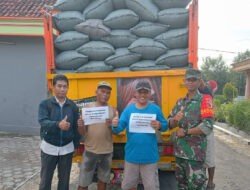 Babinsa Posramil Gerih Dampingi Petugas Bulog Serap Gabah Petani di Wilayah Binaan