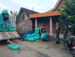 Tingkatkan Ekonomi Masyarakat, Babinsa Koramil 0805/Bringin bersama Tim Bulog Terjun ke Lapangan Dekung Sergap