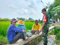 Kedekatan Babinsa Teras Dengan Petani Desa Kopen