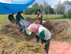 Warga Panen, Anggota TNI Kodim Ponorogo Bantu dan Sosialisasi Sergab