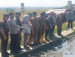 Dandim Ngawi Bersama Forkopimda Jatim Panen Raya Padi Serentak di 14 Provinsi Bersama Presiden Prabowo