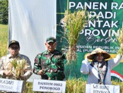 Melalui Virtual, Dandim Ponorogo Ikuti Panen Raya Padi Serentak di 14 Provinsi Bersama Presiden RI