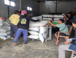 Kodim 0610/Sumedang Serap 128.375 Kg Gabah dari Petani