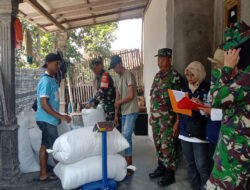 Koramil Teras Dampingi Bulog Serap Gabah Petani Desa Nepen