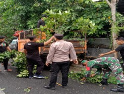 Jaga Kebersihan Lingkungan, Babinsa Nusukan Bersama Tim Saberling Laksanakan Kerja Bhakti Perempelan Dahan dan Ranting Pohon
