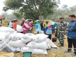 Sukses SERGAB di Ujungjaya: Sinergitas Antar Lembaga beri Manfaat Nyata untuk Petani