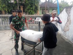 Babinsa Trenggalek Kawal Gabah ke Bulog, Bukti TNI Selalu Bersama Rakyat