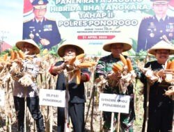 Dandim Ponorogo Hadiri Panen Raya Jagung Hibrida Bhayangkara Tahap II Polres Ponorogo