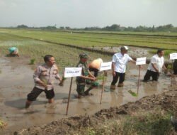 Tiga Pilar  Kompak Dukung Ketahanan Pangan Nasional Lewat Penanaman Padi Serentak di Sidoarjo