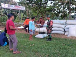 Maksimalkan Sergap, Babinsa Paron dan PPL Kawal Harga Gabah Petani Saat Musim Panen