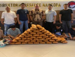 Polisi Gagalkan Peredaran 47 Kg Ganja di Sumbar, 4 Tersangka Ditangkap