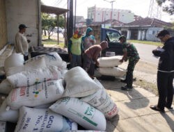 Dari Lahan Sempit, Babinsa dan Petani Trenggalek Buktikan Ketahanan Pangan Bisa Dimulai dari Desa