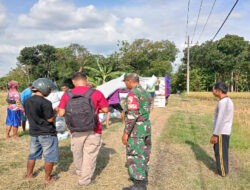 Babinsa Koramil Kedunggalar Bantu Serap Gabah Petani di Wilayah, Pastikan Distribusi ke Bulog Lancar