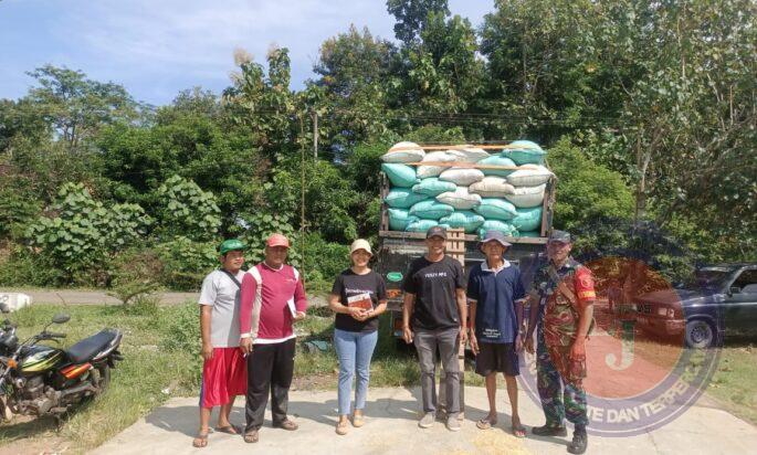 Babinsa Serka Suyatman Kawal Panen Padi di Dusun Berjing, Desa Cepoko untuk Disalurkan ke Bulog
