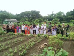 UPN Veteran Jatim Gandeng Perhutani dan UPT SDN 322 Gelar Giat Penanaman