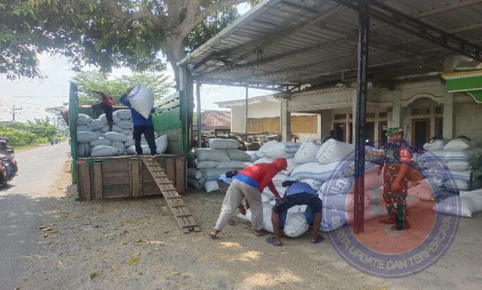 Babinsa Ngrambe Kawal Sergap 12,6 Ton Gabah Terserap ke Bulog