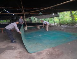 Berantas Perjudian Polisi Bongkar Arena Sabung Ayam di Nganjuk