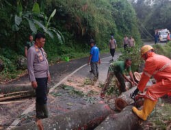 Pohon Tumbang Menutup Jalan, TNI-Polri di Ponorogo Sigap Atasi