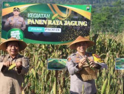 Polres Pacitan Bersama Warga Tani Panen Jagung Wujudkan Ketahanan Pangan Nasional