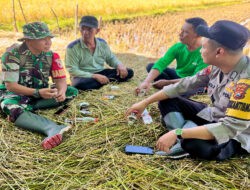 Tak Mengenal Tempat, TNI Komsos Dengan Petani Wujud Kemanunggalan TNI dan Rakyat