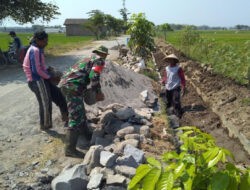 Babinsa Ngemplak dan Warga Bangun Talud di Persawahan Desa Dibal