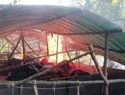 Tindak Tegas Perjudian Polres Mojokerto Bongkar Arena Sabung Ayam