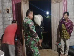 TNI Kolaborasi dengan Lintas Sektor Dukung Hanpangan Melalui Serapan Gabah