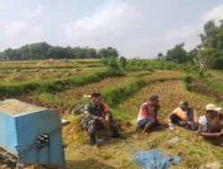 Komsos Sergab, Upaya Babinsa Kodim Ponorogo Makmurkan Petani