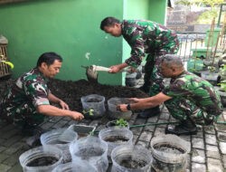 Dukung Swasembada Pangan, Danramil 04/Jebres Bersama Anggotanya Tanam Bibit Buah dan Tanaman Herbal