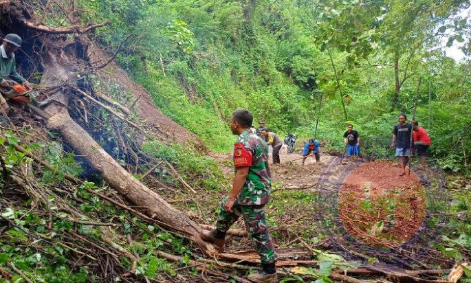 Jalan Tertutup Longsor, TNI-Polri dan BPBD Hadir Jadi Harapan Warga Trenggalek