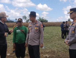 Presiden Prabowo Akan Hadiri Panen Raya Jagung Serentak di Bengkayang