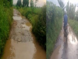 Rusak Parah Jalan Tanggul BBWS Sibubut Kapetakan Kayak Blumbangan Kerbau